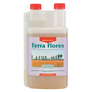 Canna Terra Flores